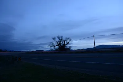 DSC_1133 (Large).JPG